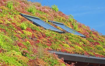 Monkmoor living roof systems