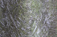 Monkmoor fibreglass roof work